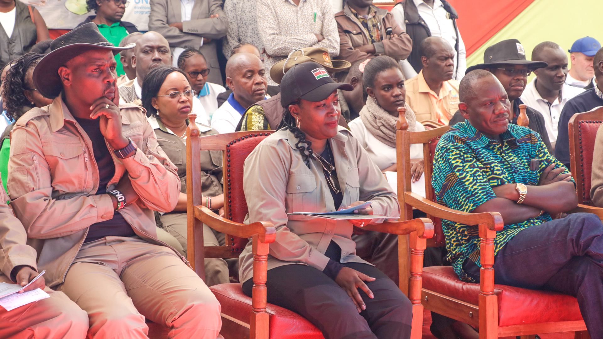 photo gallery